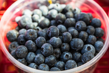 Fresh blueberries in bowls. Yerevan, Armenia