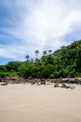 Fototapeta na wymiar Isla Otoque en Panamá.