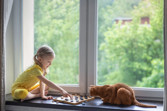 Beautiful girl on the windowsill plays checkers with a cat