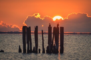 Beautiful evening seaside view. Wooden boles at the Polish seaside with the evening sun in the background.