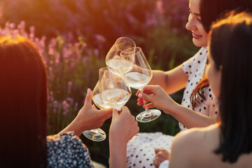 The girls arranged a picnic at sunset. Picnic in the fresh air with wine. Close-up of the girls'...
