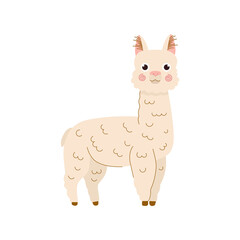 Obraz na płótnie Canvas Llama cartoon illustration. Alpaca vector illustration isolated on white background.for children, kids designe in flat trendy style
