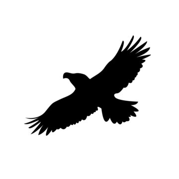 Eagle in flight silhouettes vector illustration on a white background. Design element for logo or print