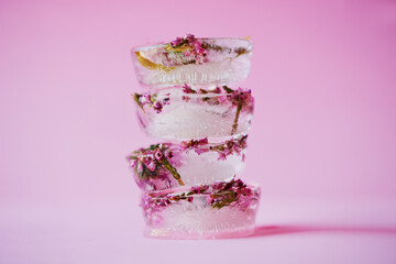 The prettiest ice cubes ever. Studio shot of flowers frozen into ice blocks against a pink...
