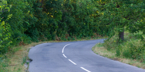 road in the forest