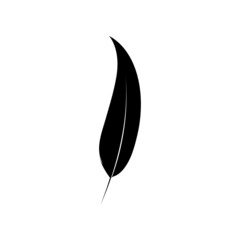 Feather icon logo template design