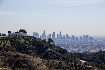 Sunny Skyline Views