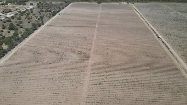 Aerial view of Champagne vineyards to Les Riceys, the Cote des Bar area in the Aube department,