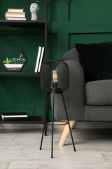 Black lamp, shelving unit and sofa near green wall