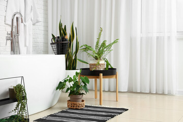 Interior of stylish bathroom with beautiful houseplants