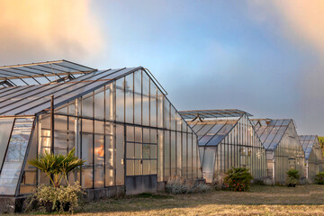 Fototapeta premium Gewächshäuser