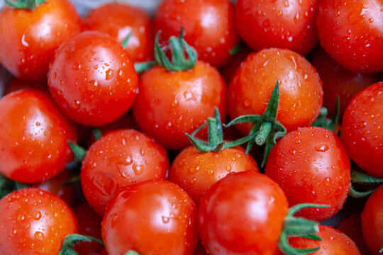 Tomaten mit Regentropfen