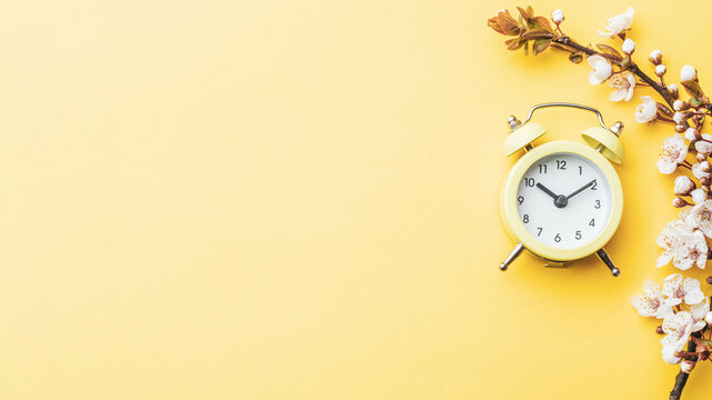 Spring background may flowers and April floral nature with alarm clock on yellow. Branches of blossoming apricot macro with soft focus. For easter and spring greeting cards, copy space. Springtime.