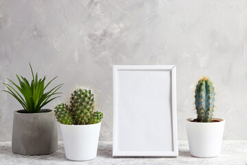 Mockup with white frame, and succulent plants in pots. Copy space for text. Minimalistic design