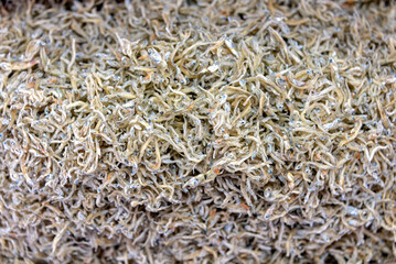 판매중인 말린 멸치