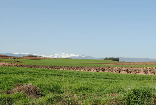Plain of agricultural fields with clear blue sky over distant mountains