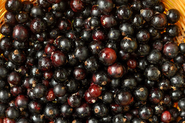 red currant background