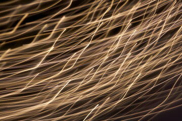 light trails  background 