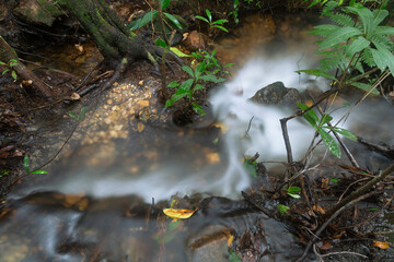 Crystal waterfall in Chapada dos Veadeiros in Alto Paraiso de Goias.