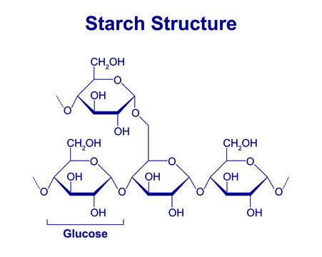 Starch Molecule Chemical Structure. Vector Illustration.