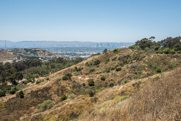 Obraz premium Sunny Skyline Views