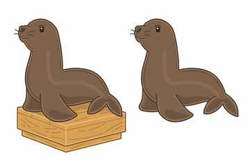 San Francisco Seals. Vector illustrations set.