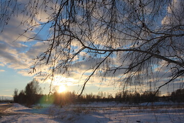 sunny landscape in winter a tree in the snow at sunset in the clouds