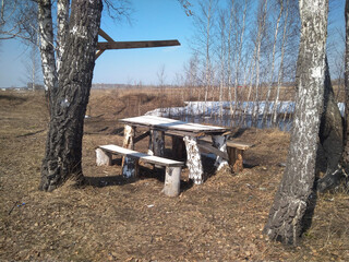 empty wooden table picnic bench in the forest with trees