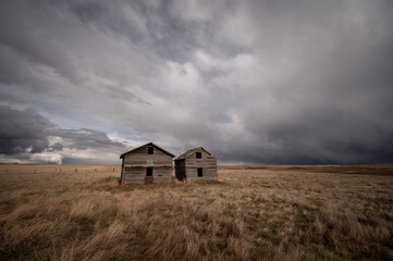 Abandoned farm buildings in Alberta in early Spring.