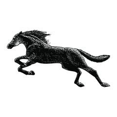 horse illustration isolated on white background