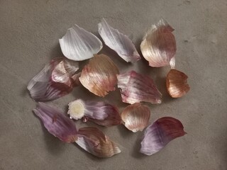 garlic on a wooden table, close up detail of onion layer 