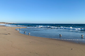 SoCal Sun