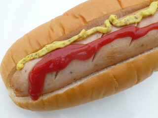 hot dog with mustard