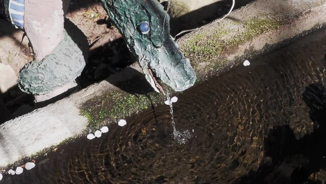 真福院の手水舎