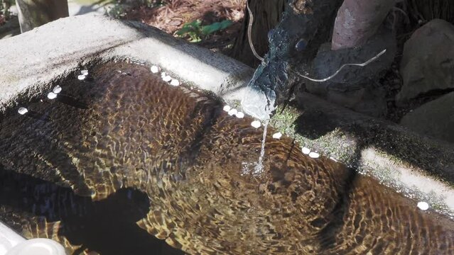 真福院の手水舎