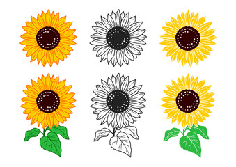 Sunflowers set vector illustration, Hand drawn sunflowers