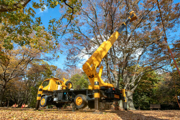 東京都代々木公園の植栽の剪定