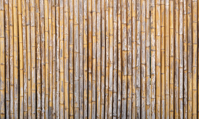 beautiful lined dried bamboo background                 