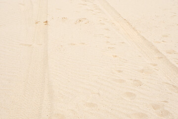 sand background blown by the wind                   