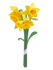 Bouqoet of yellow daffodil flowers, isolated on white background