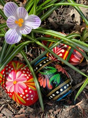 Easter eggs and purple crocus.
