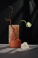 Vertical contemporary still life shot of minimalistic ikebana with white flower, branch and rock salt on gray table against black wall background in gobo lighting