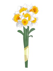 Bouqoet of white and yellow daffodil flowers, isolated on white background