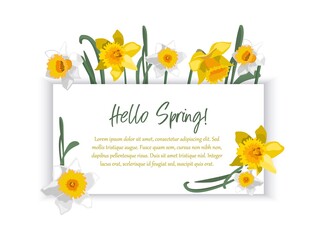Romantic banner with floral border of daffodils. Template for greeting, invitation, advertising. 