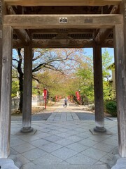 Temple gate of Japan, Chiba prefecture, "Nakayama Sandozan Mon" "Hokekyo Temple", end of sakura season spring 2022