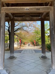 Temple gate of Japan, Chiba prefecture, "Nakayama Sandozan Mon" "Hokekyoji (Lotus Sutra Temple)", sakura season spring 2022