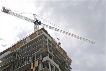 Working crane in the building activity with cloudy  sky