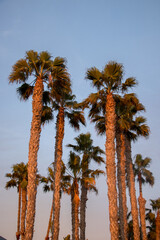 Fototapeta na wymiar SoCal Sunsets in Redondo Beach