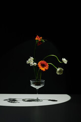 Vertical creative still life composition of fresh flowers in coupe glass on gray table surface against black wall background in spotlight
