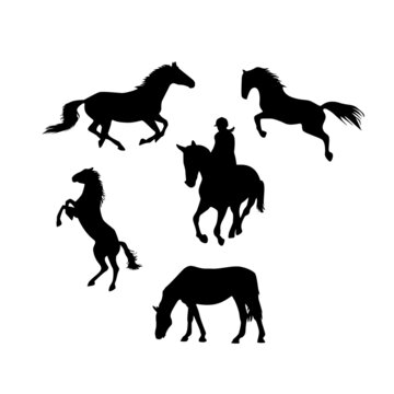 set of horse silhouette. animal sign and symbol vector illustration